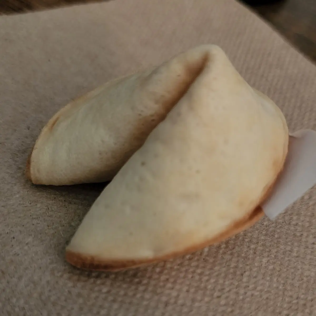 Fortune Cookie