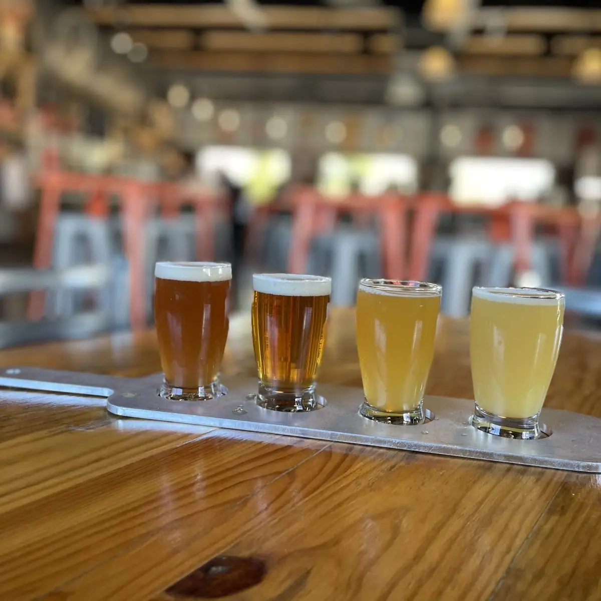 Assorted Craft Beer Flight