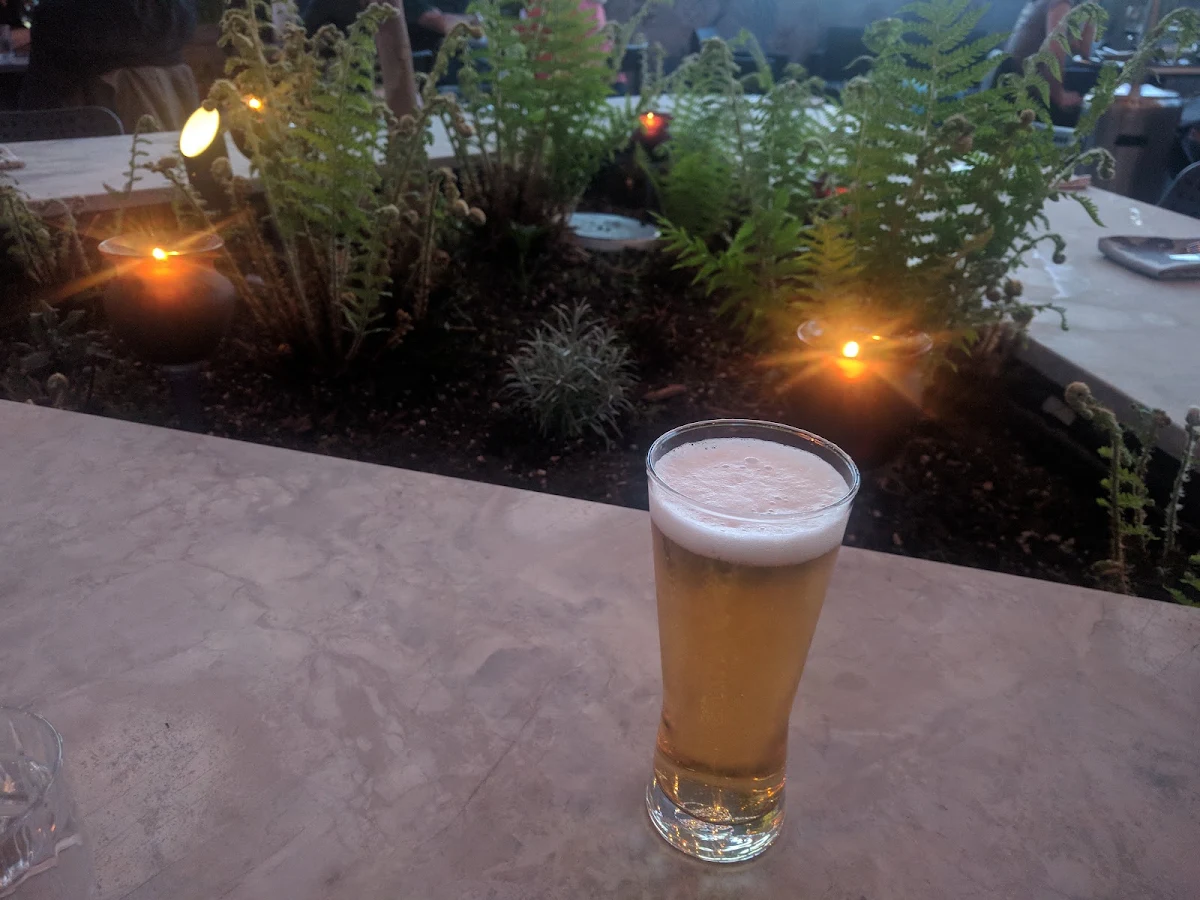 Beer