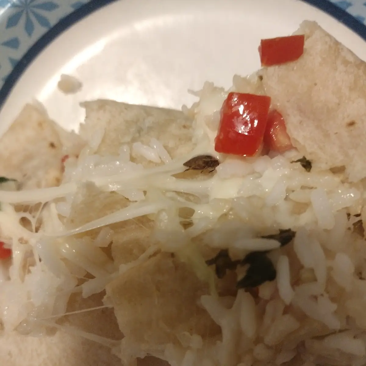 Chicken Burrito Chicken on the Side
