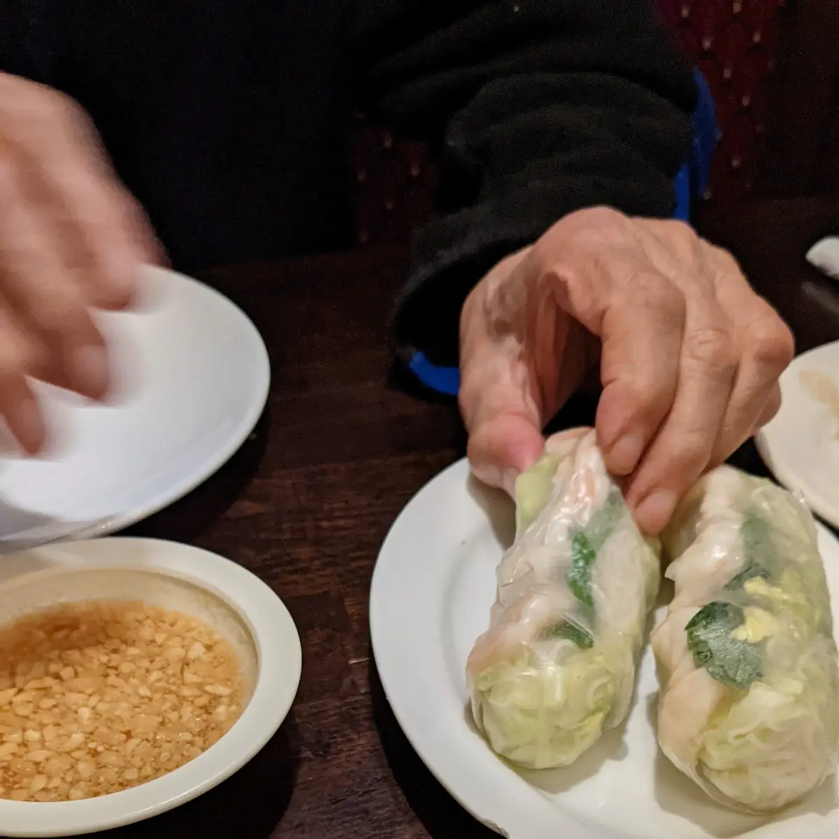 Spring Roll