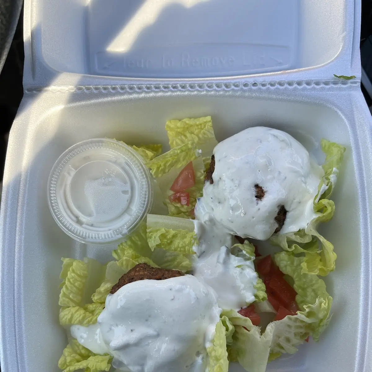 Falafel Plate