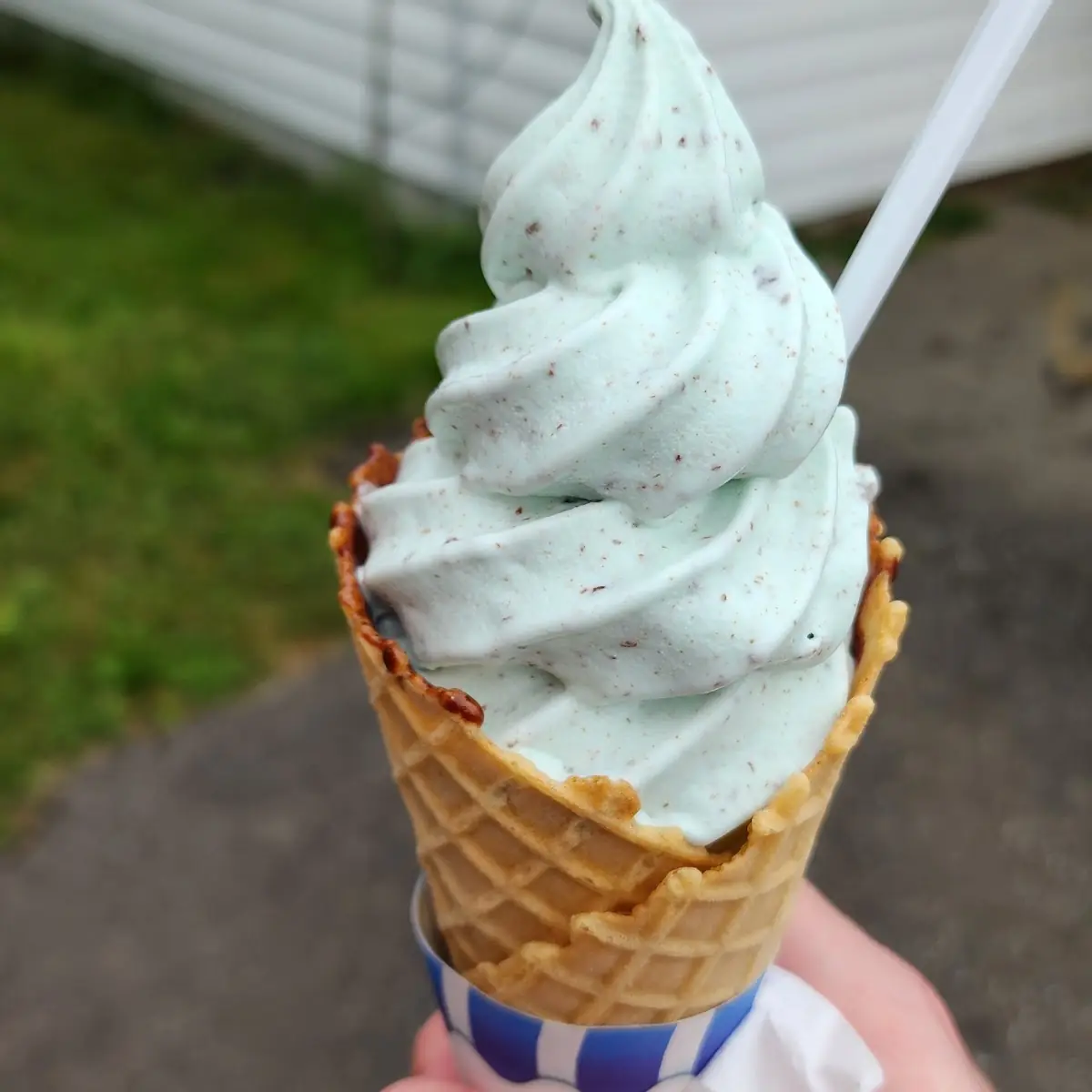 Mint Chocolate Chip