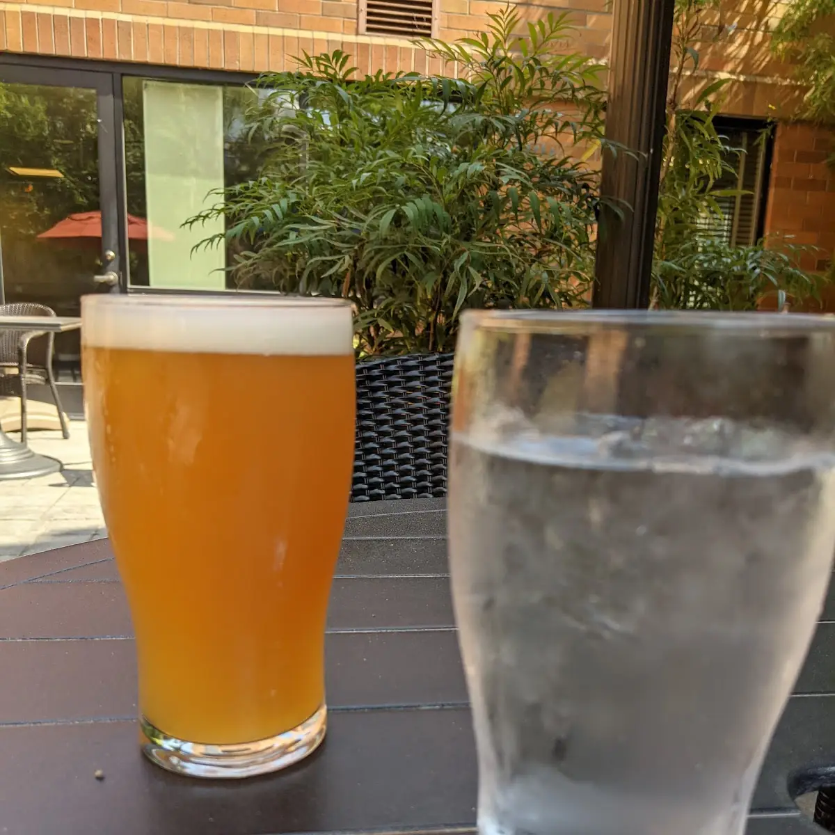 IPA Beer