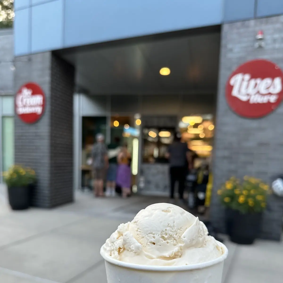 Vanilla Ice Cream