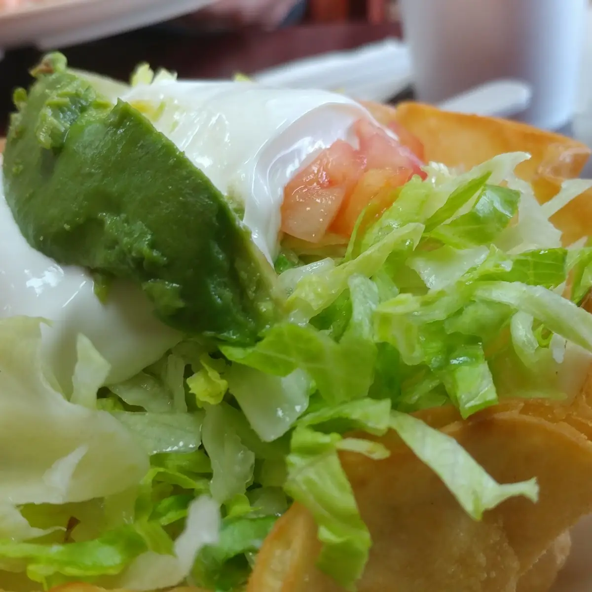 Chicken Burrito