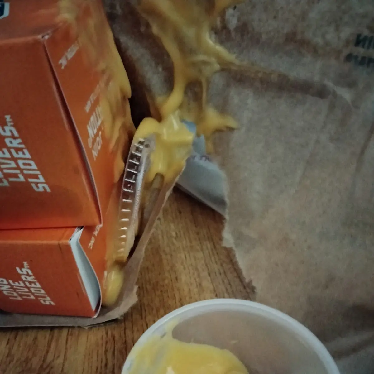 Fries and Cheese Sauce