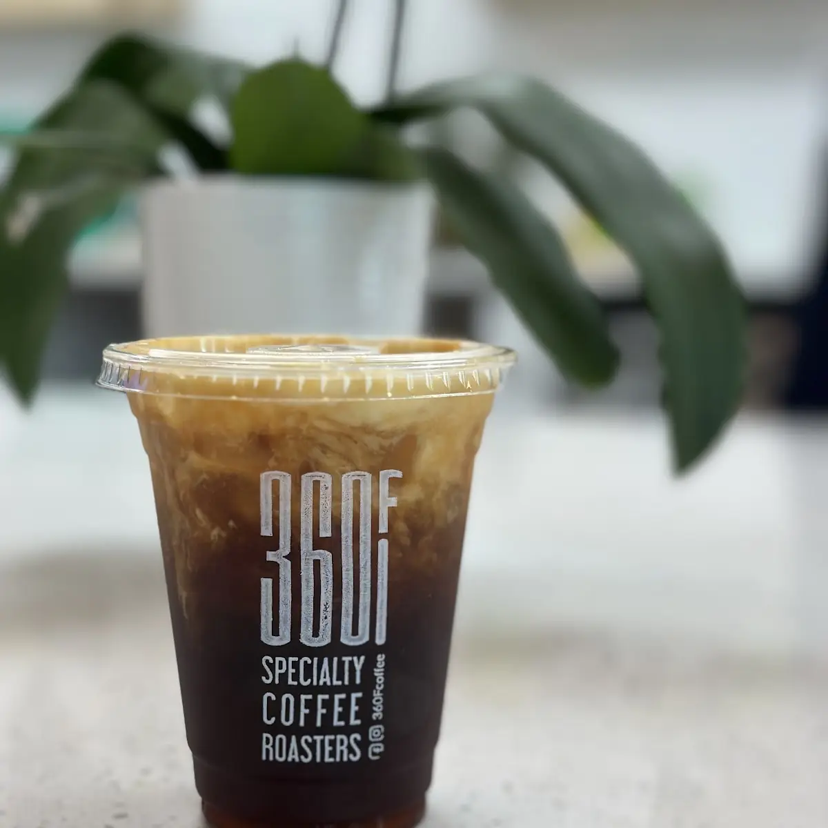 Cold Brew