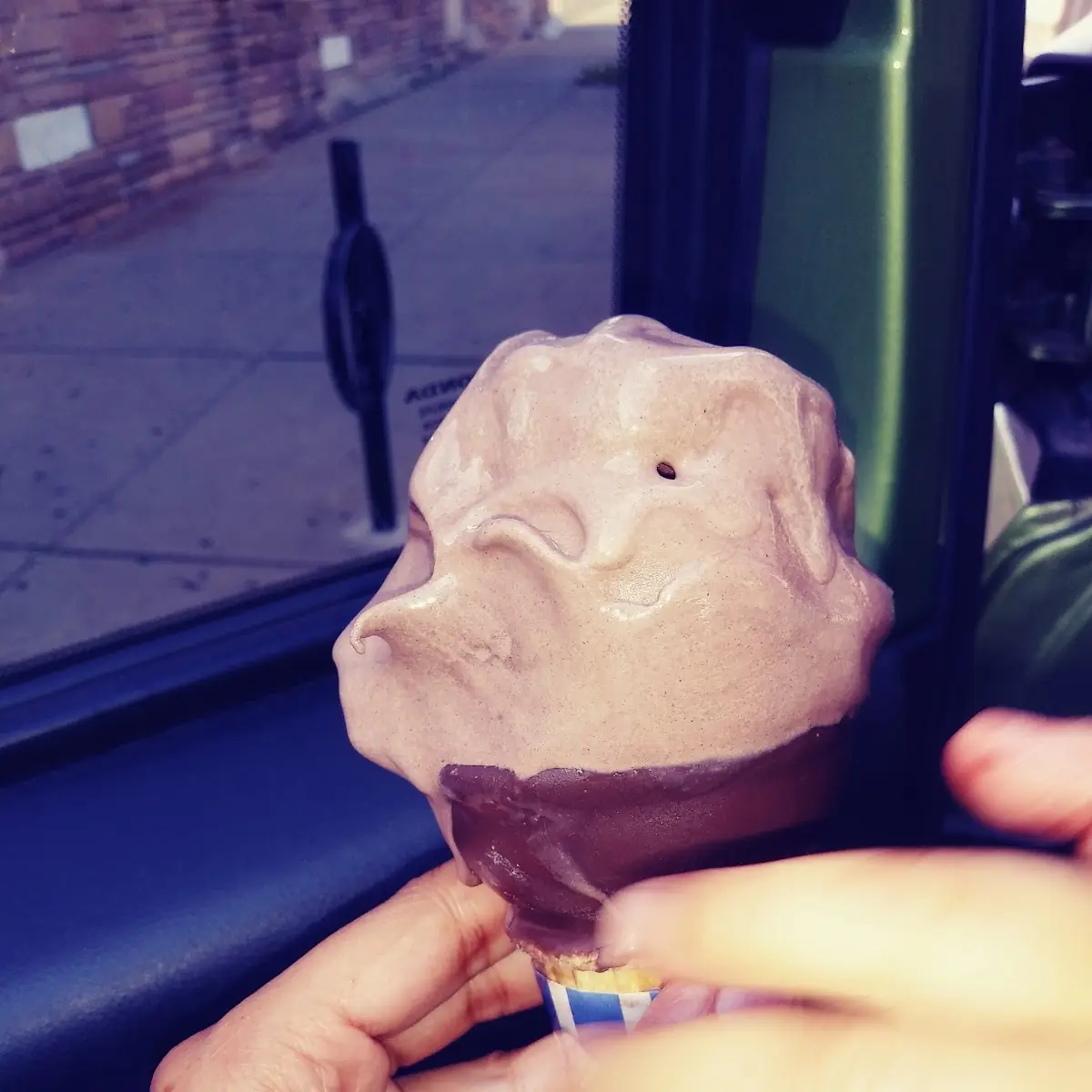 Belgian Chocolate Ice Cream