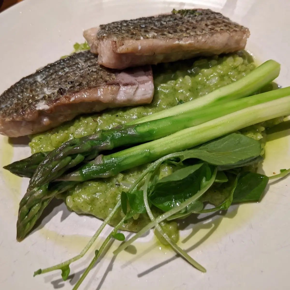 Sea Bass