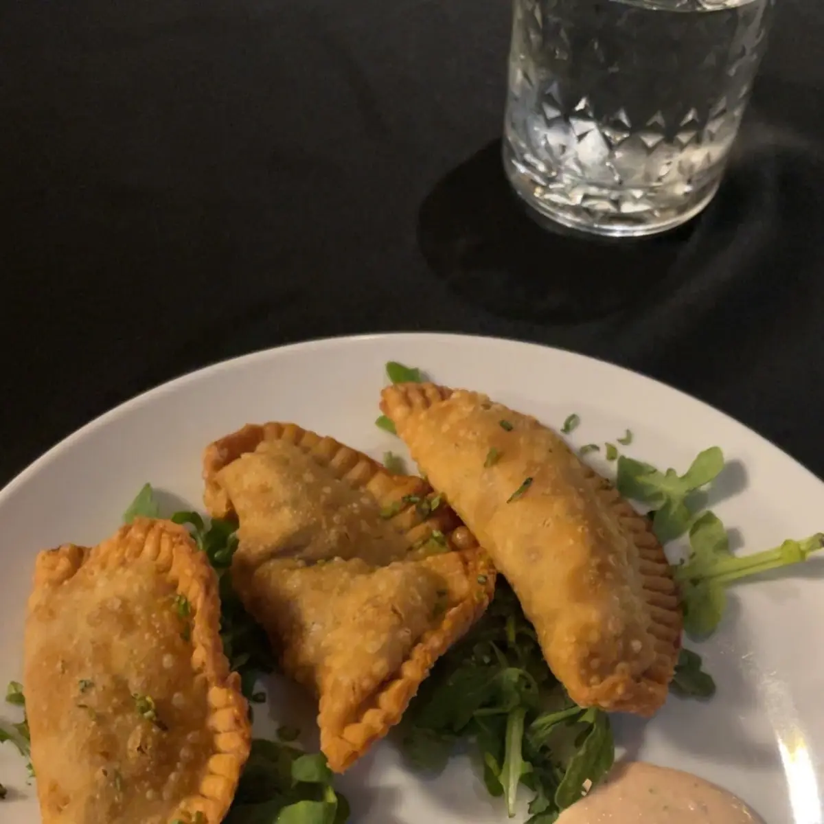 Black Bean Empanada V
