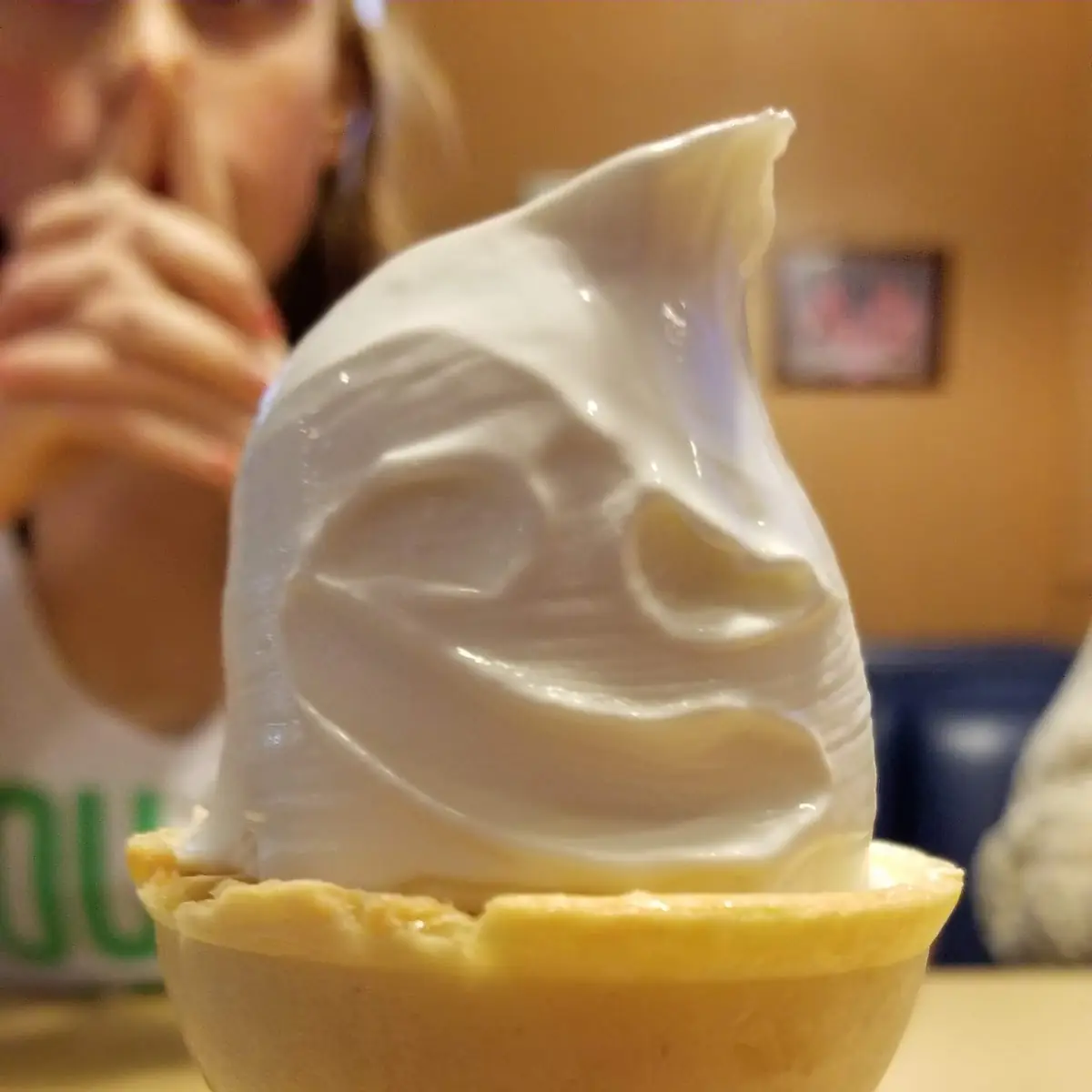 Vanilla Ice Cream