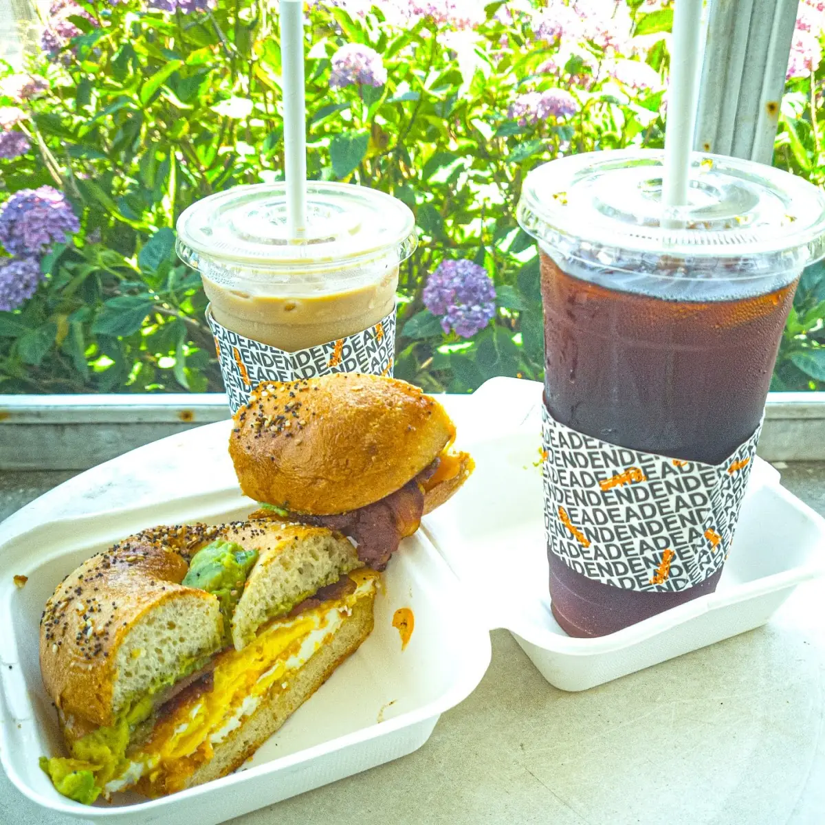 Dozen Bagels Box Combo