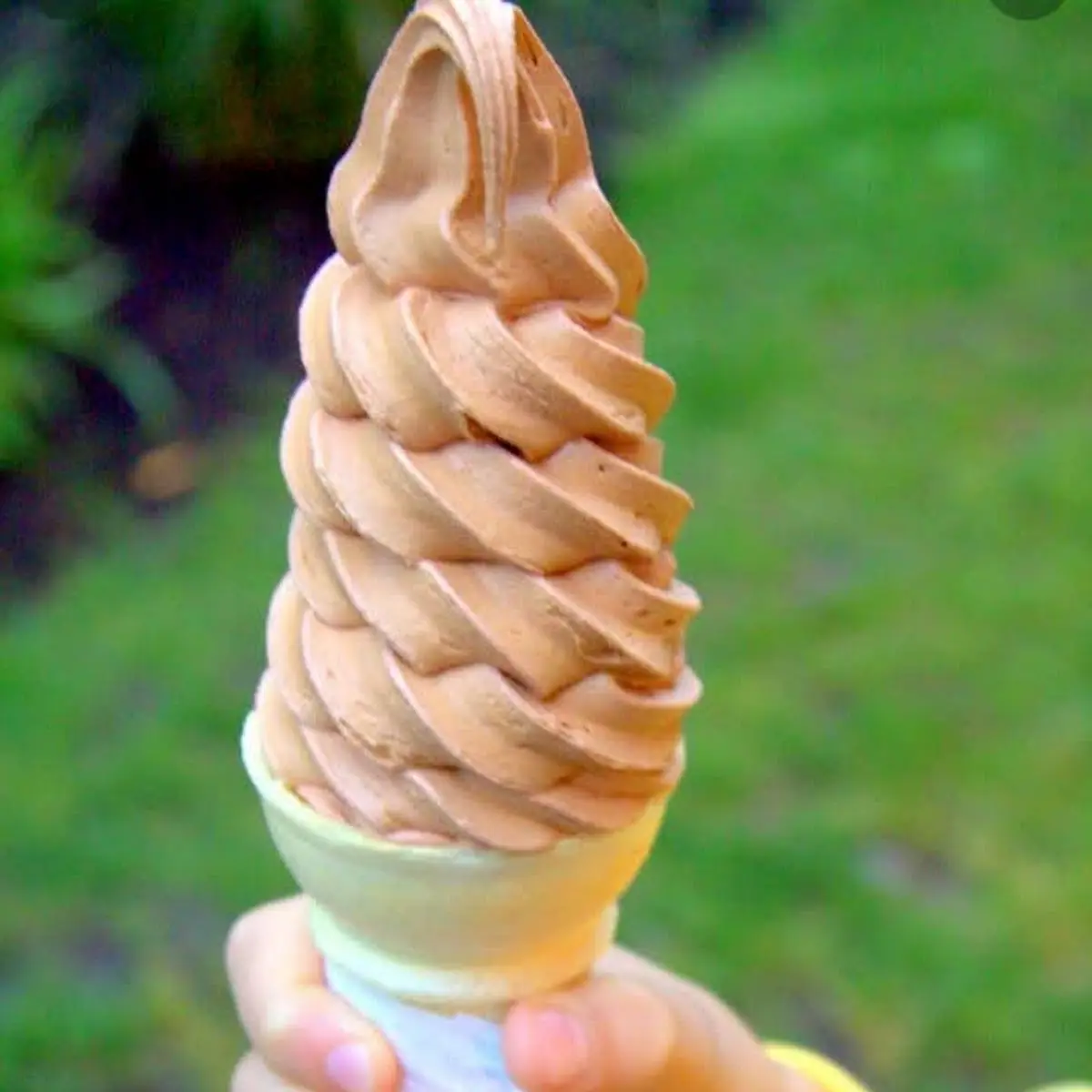 Soft Serve