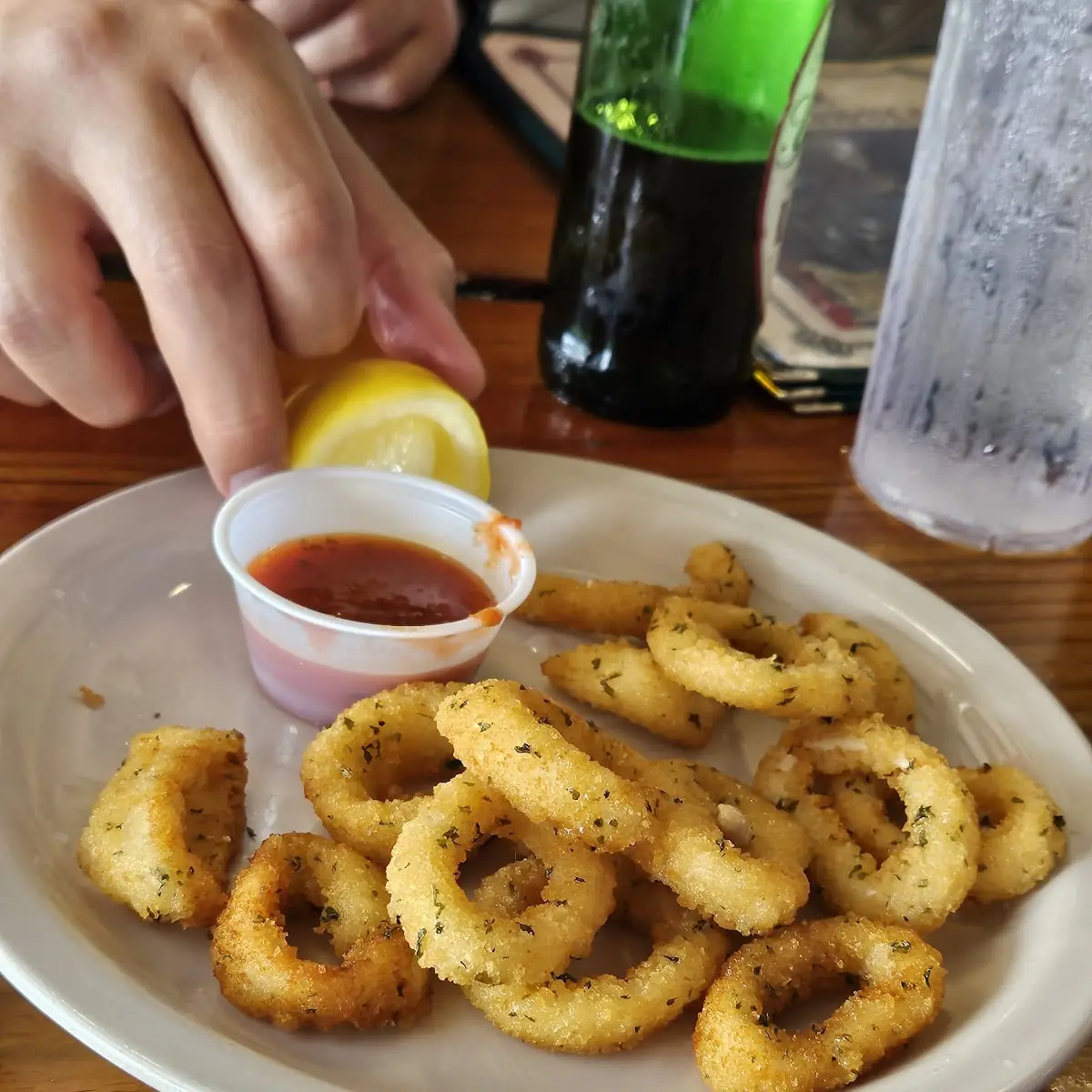 Fried Calamari