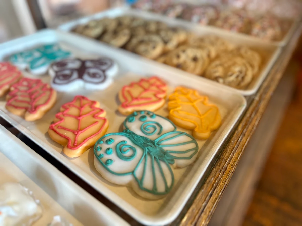 Iced Sugar Cookies