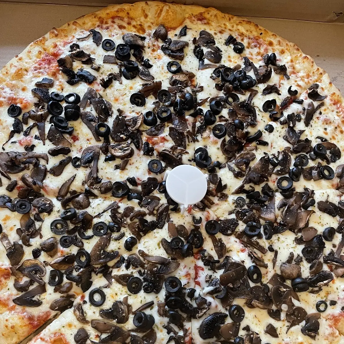 Extra Mushroom Pizza