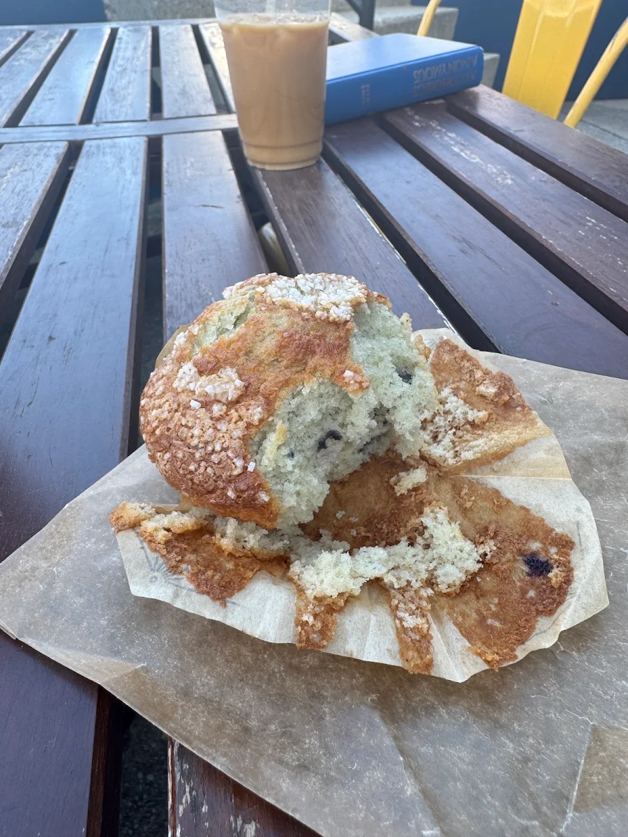 Blueberry Muffin
