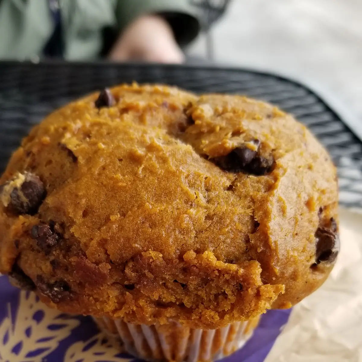 Pumpkin Chocolate Chip Muffin