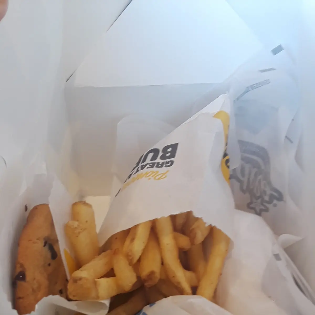 Cheese Burger and Fries