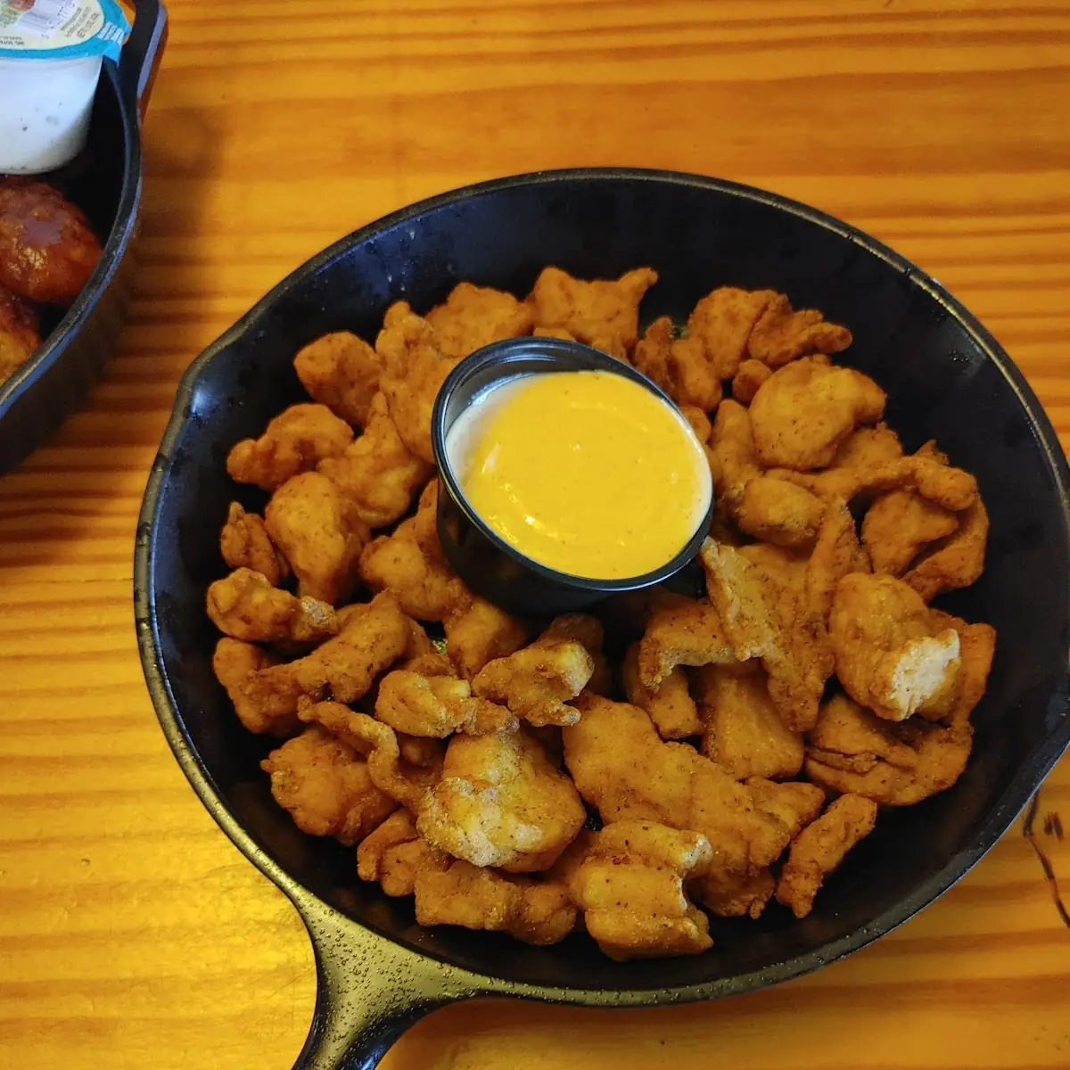 Gator Bites