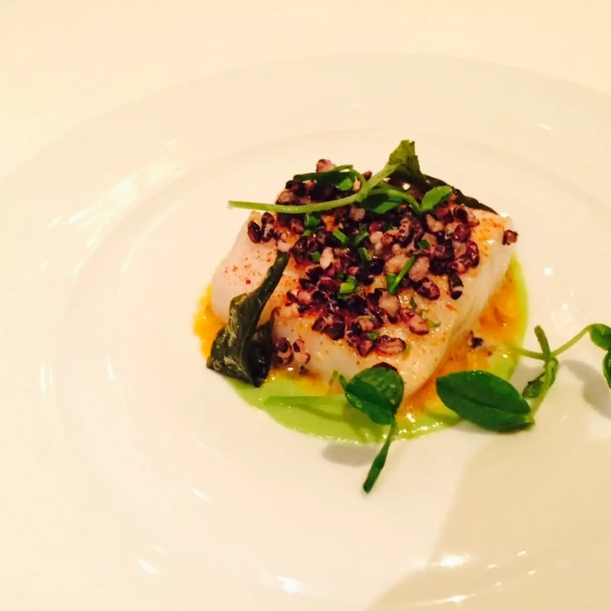 Black Cod
