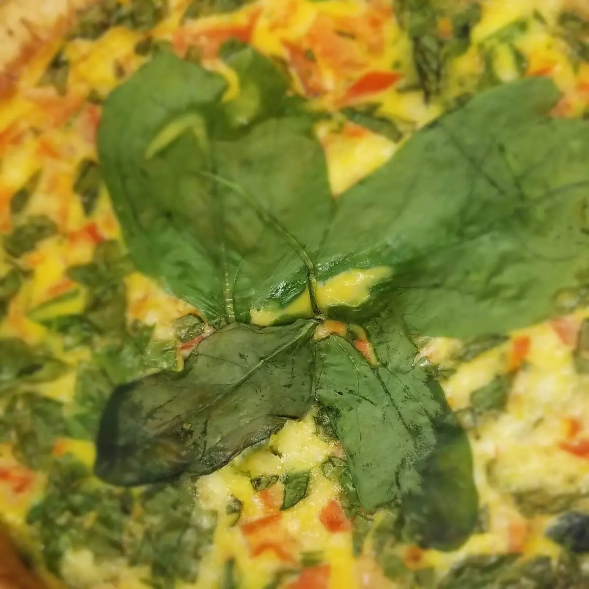 Spinach Feta Quiche