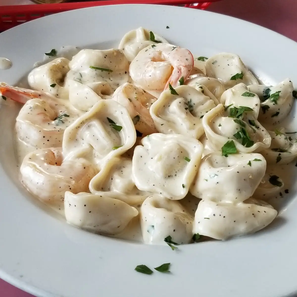 Tortellini Alfredo Shrimp