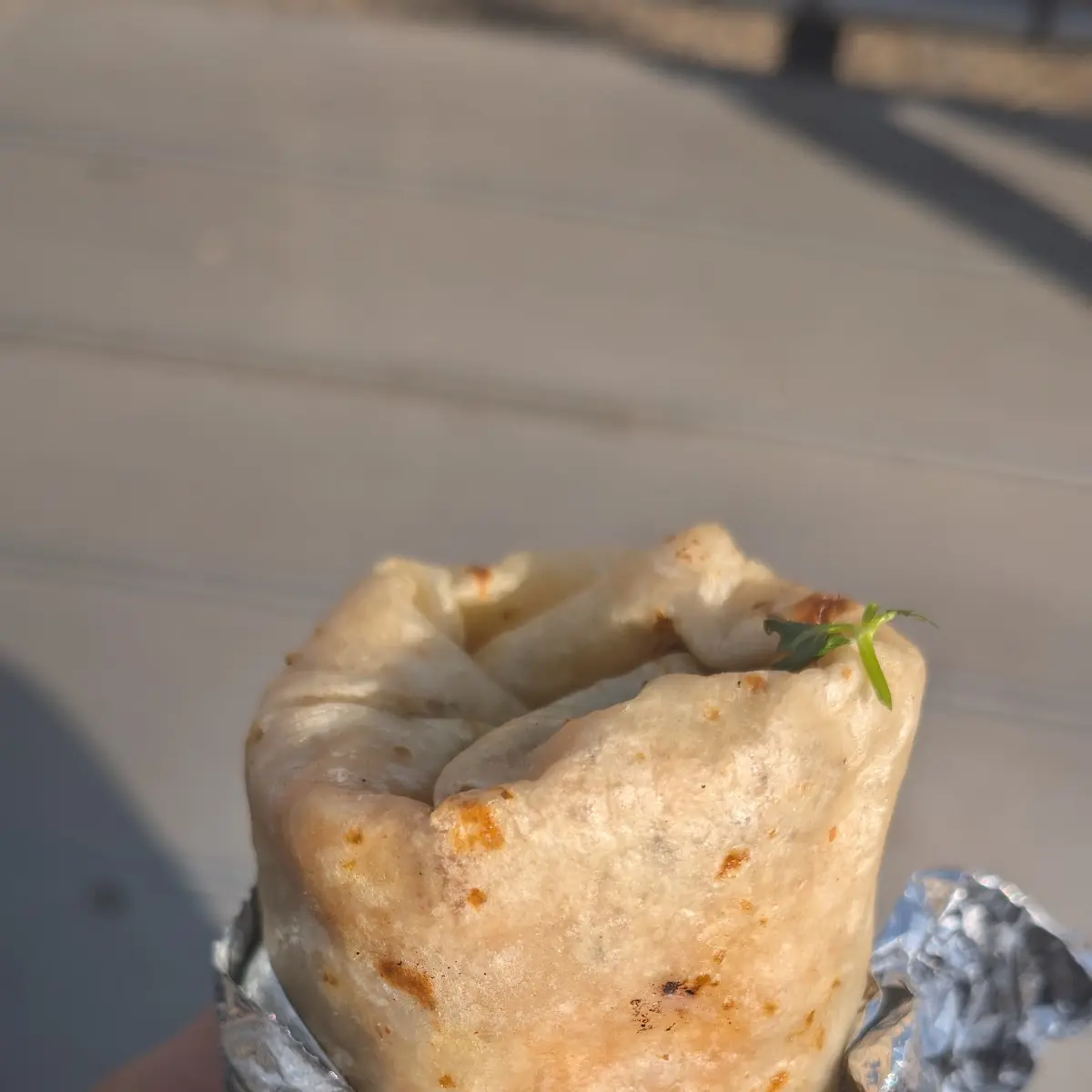 Carne Asada Burrito