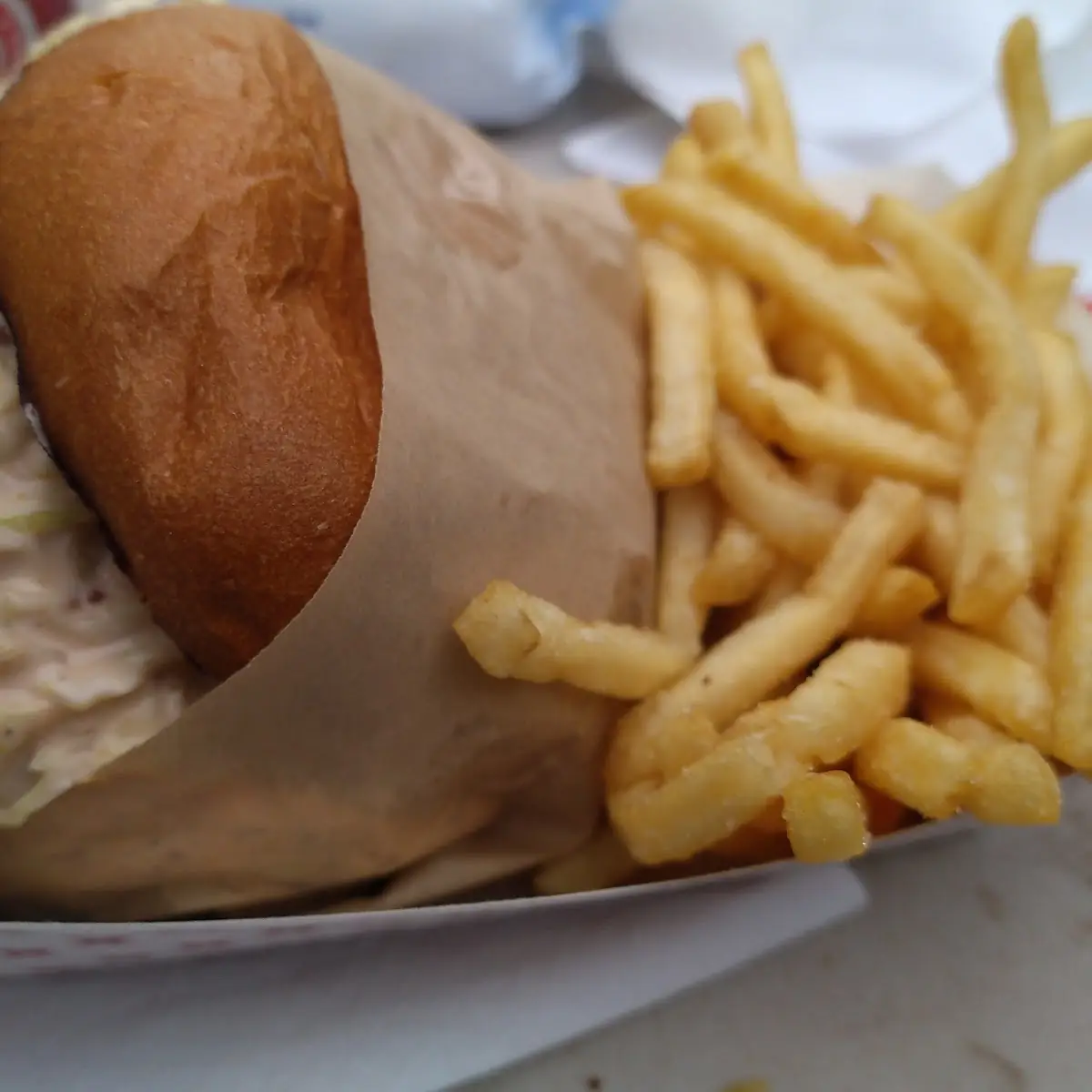 Pastrami Burger Double