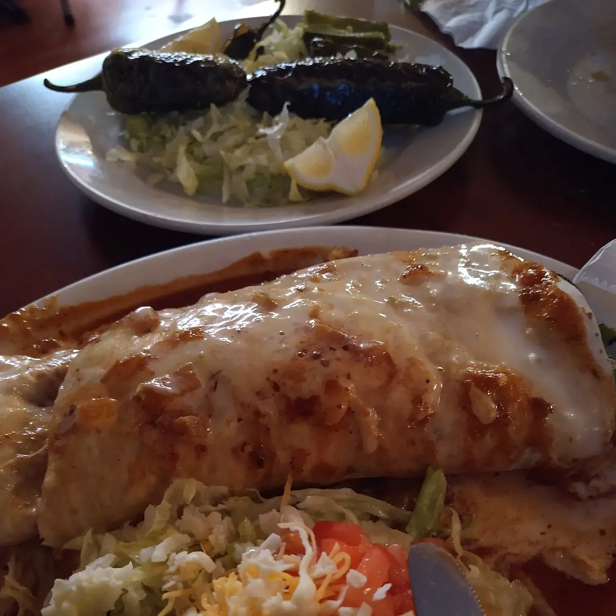 Burrito Mojado Wet Burrito