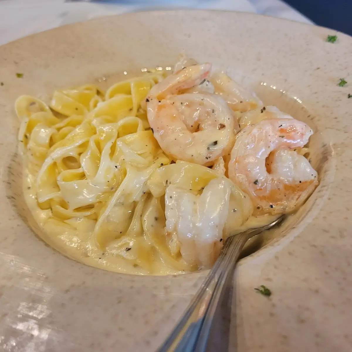 Shrimp Alfredo