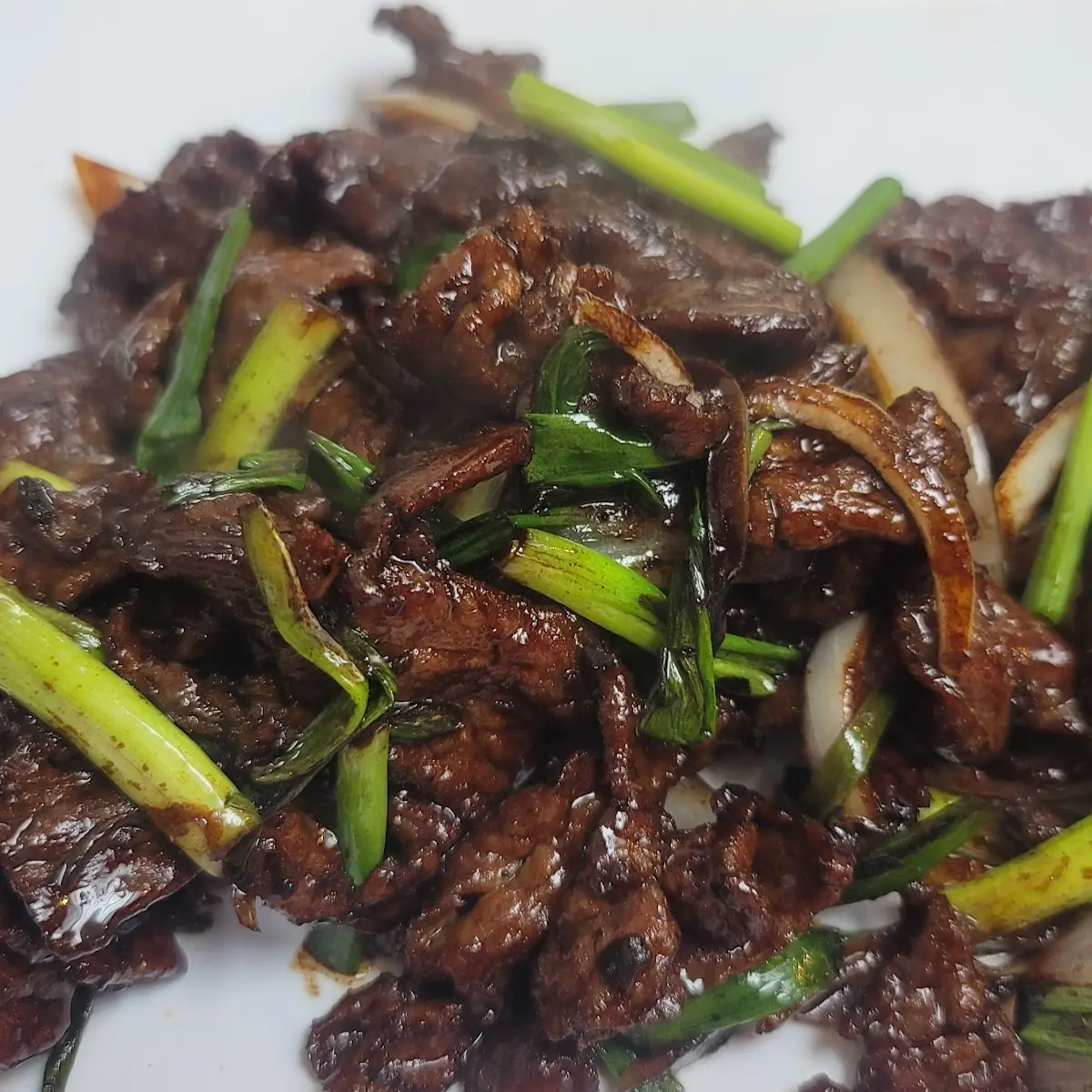 Mongolian Beef Res Mongoliana