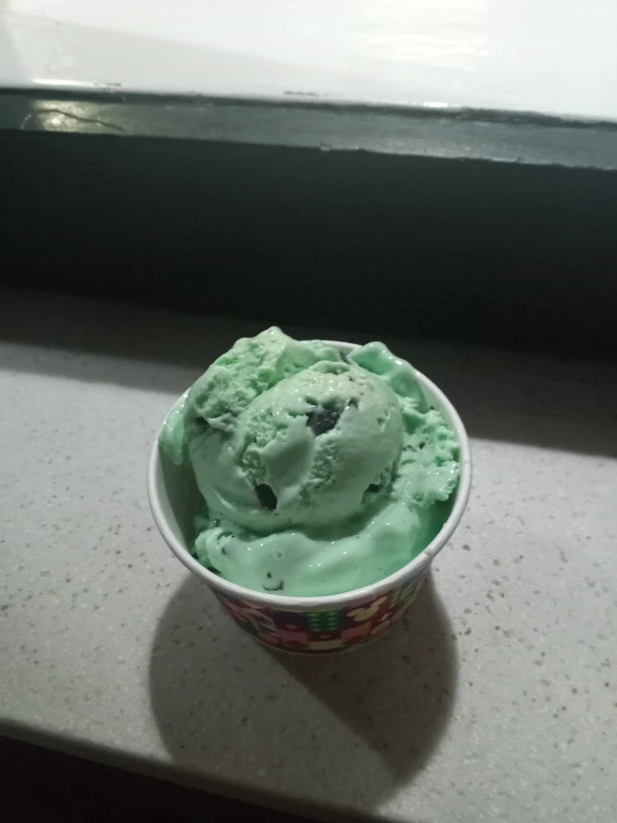 Mint Chocolate Chip