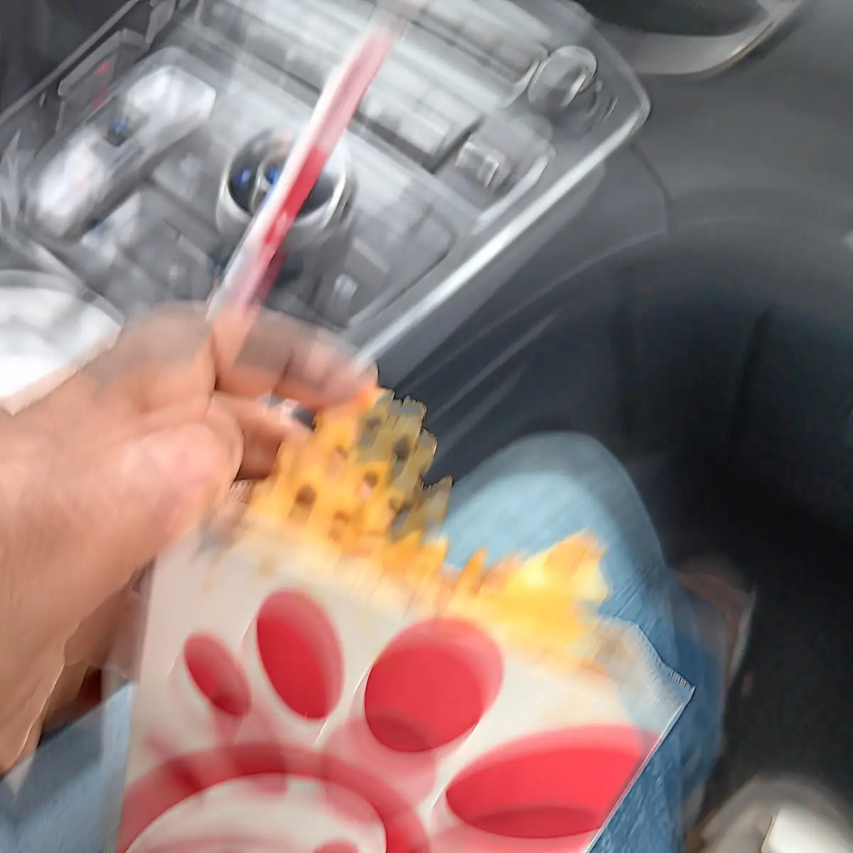 Waffle Fries