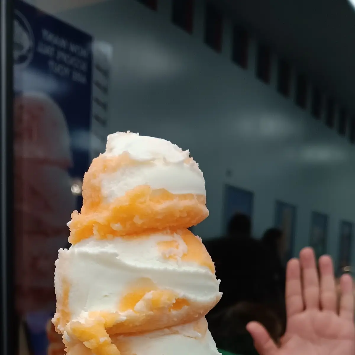 Orange Dream Cream