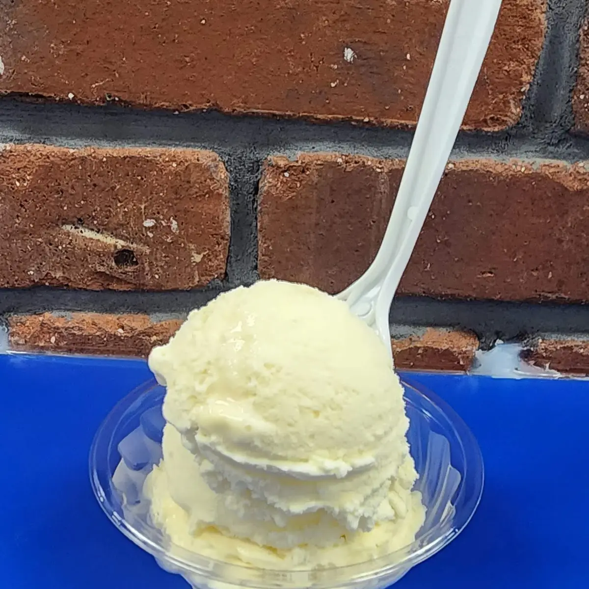 Vanilla Ice Cream