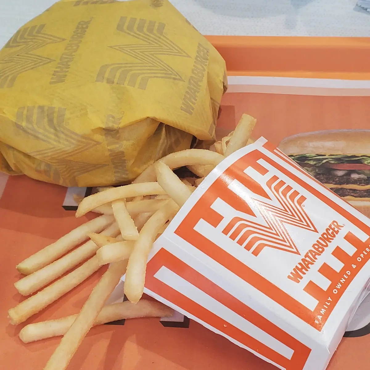 Double Cheese Burger and Fries