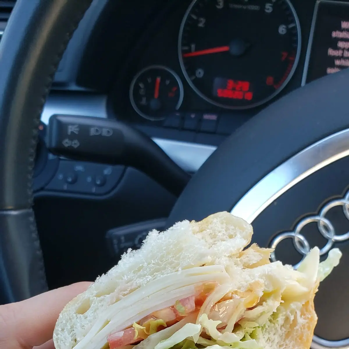 Vegie Sandwich