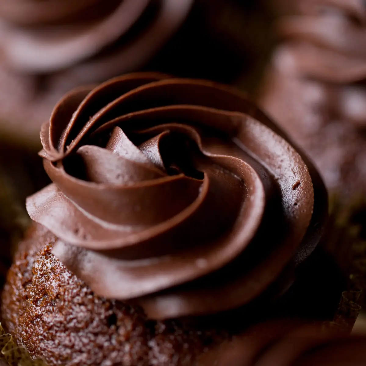 Chocolate Cupcake