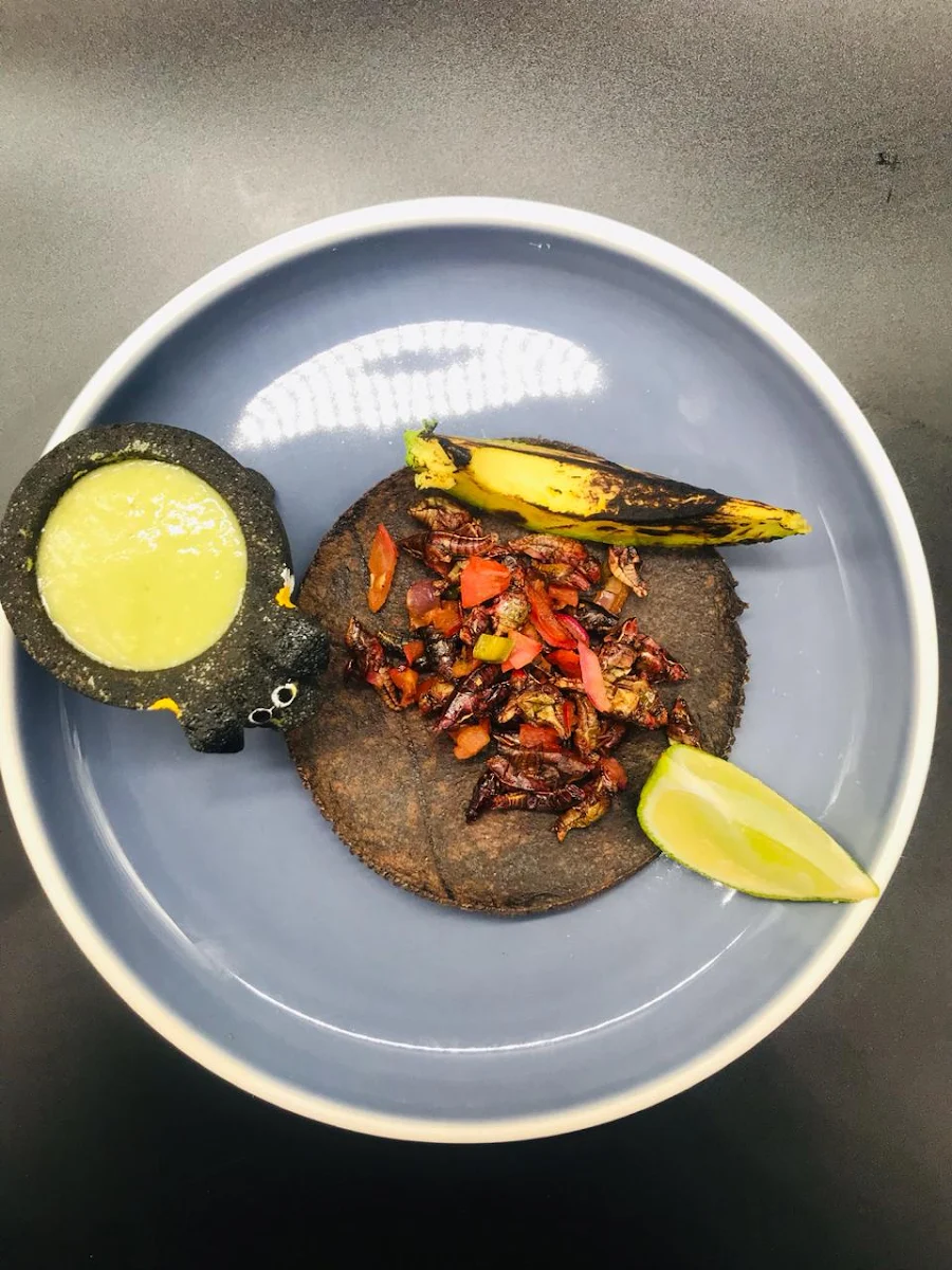 Grasshopper Taco, XOLA