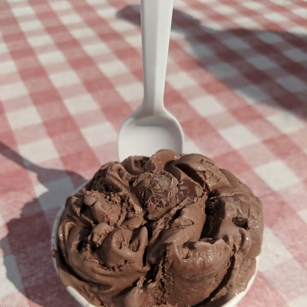 Chocolate Ice Cream
