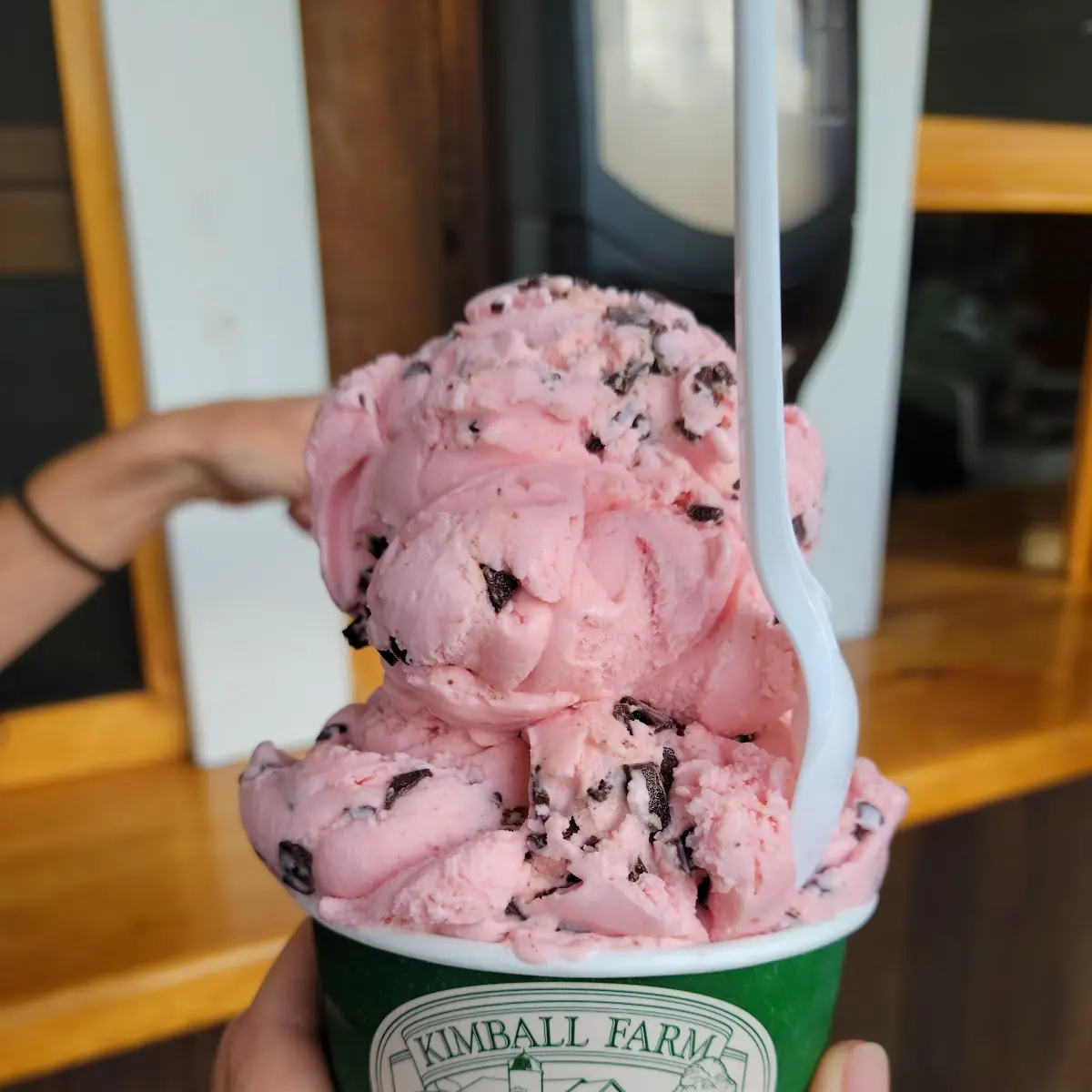Small Raspberry Chocolate Chip Ice Cream