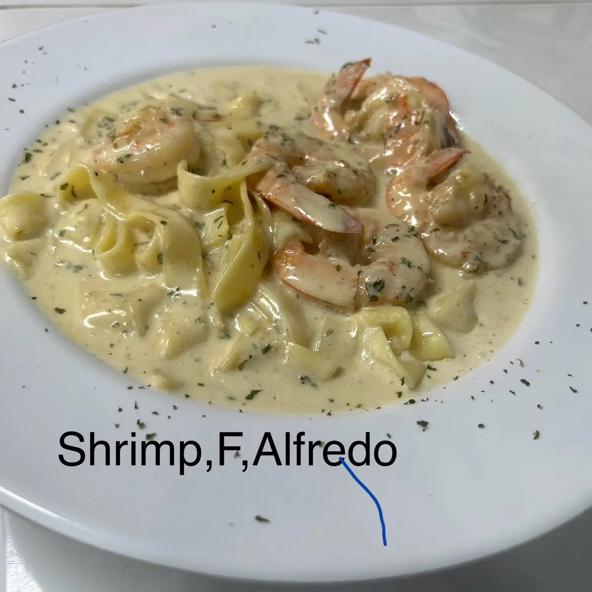 Shrimp Alfredo