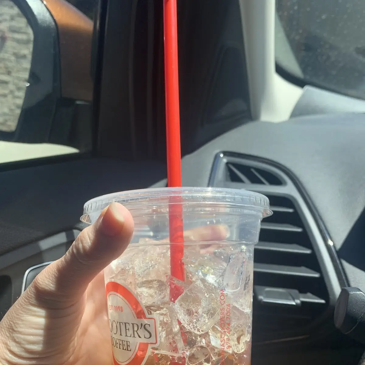 Unsweetened Iced Tea