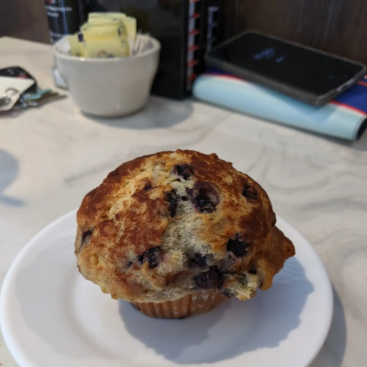 Homemade Blueberry Muffin