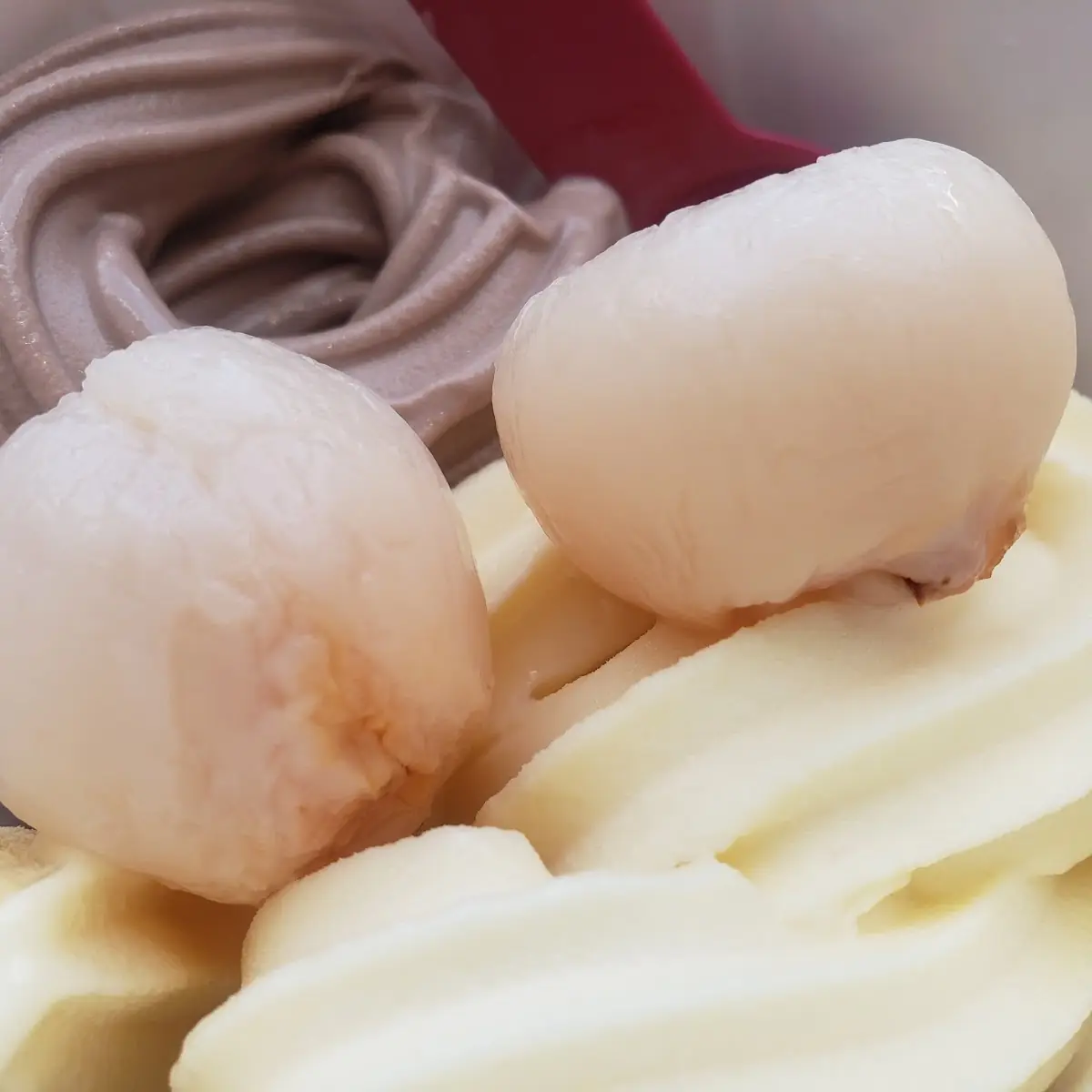 Chocolate Malt Alphonso Mango & Lychee