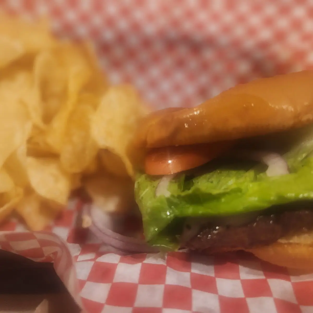 Bison Burger