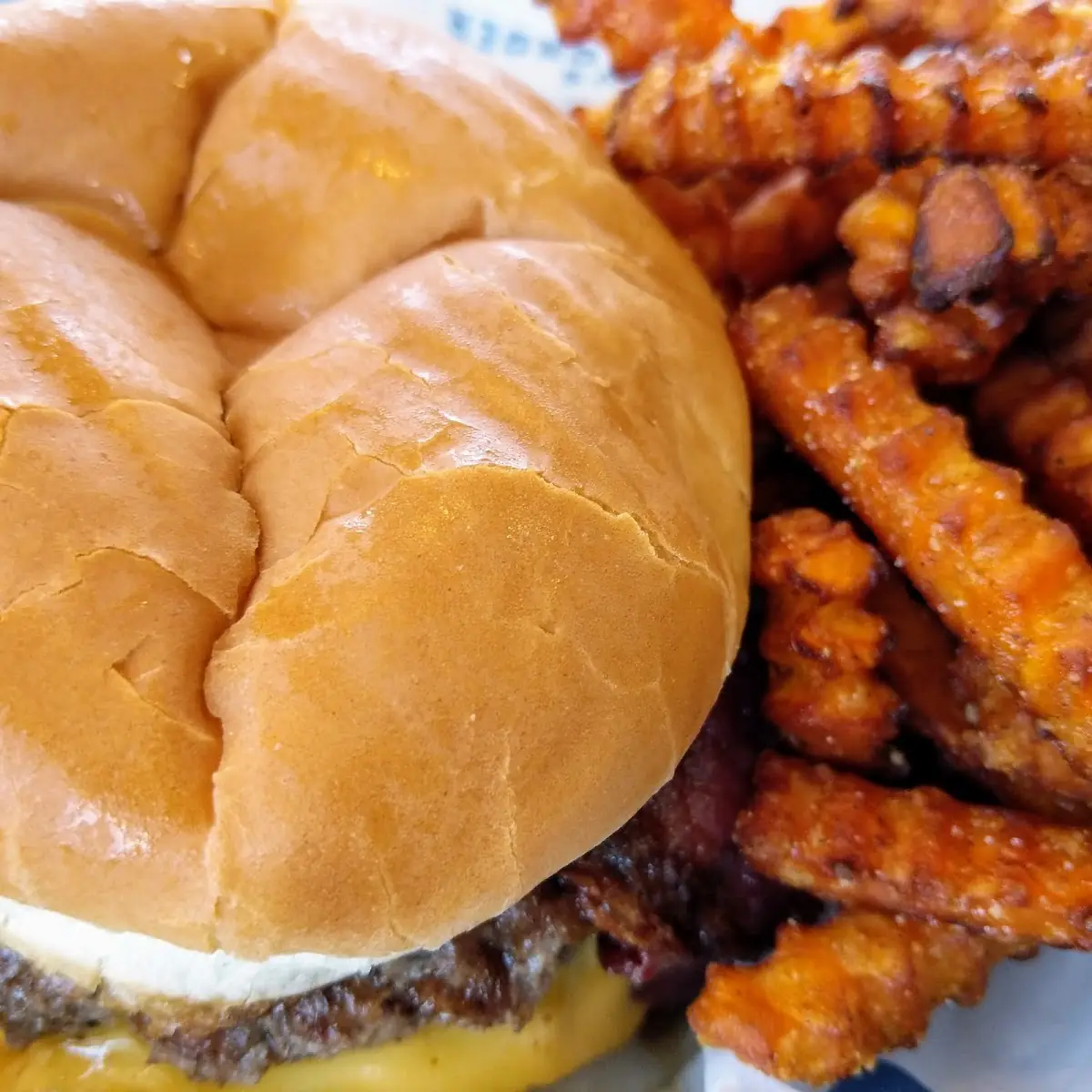 W Sweet Potato Fries
