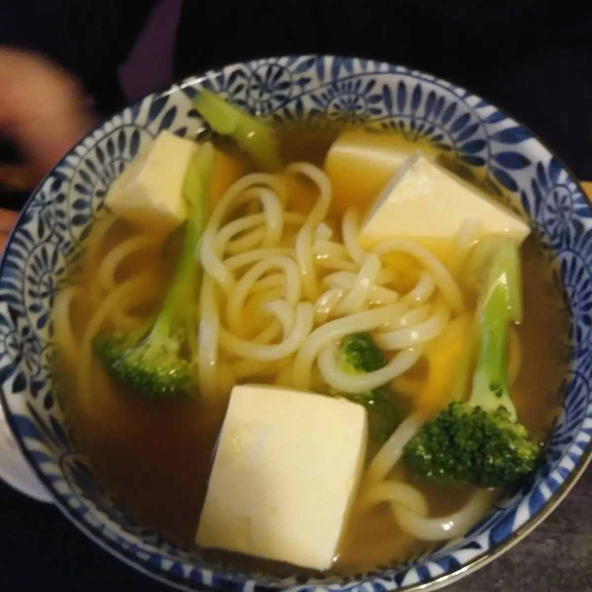 Special Udon Noodle Soup